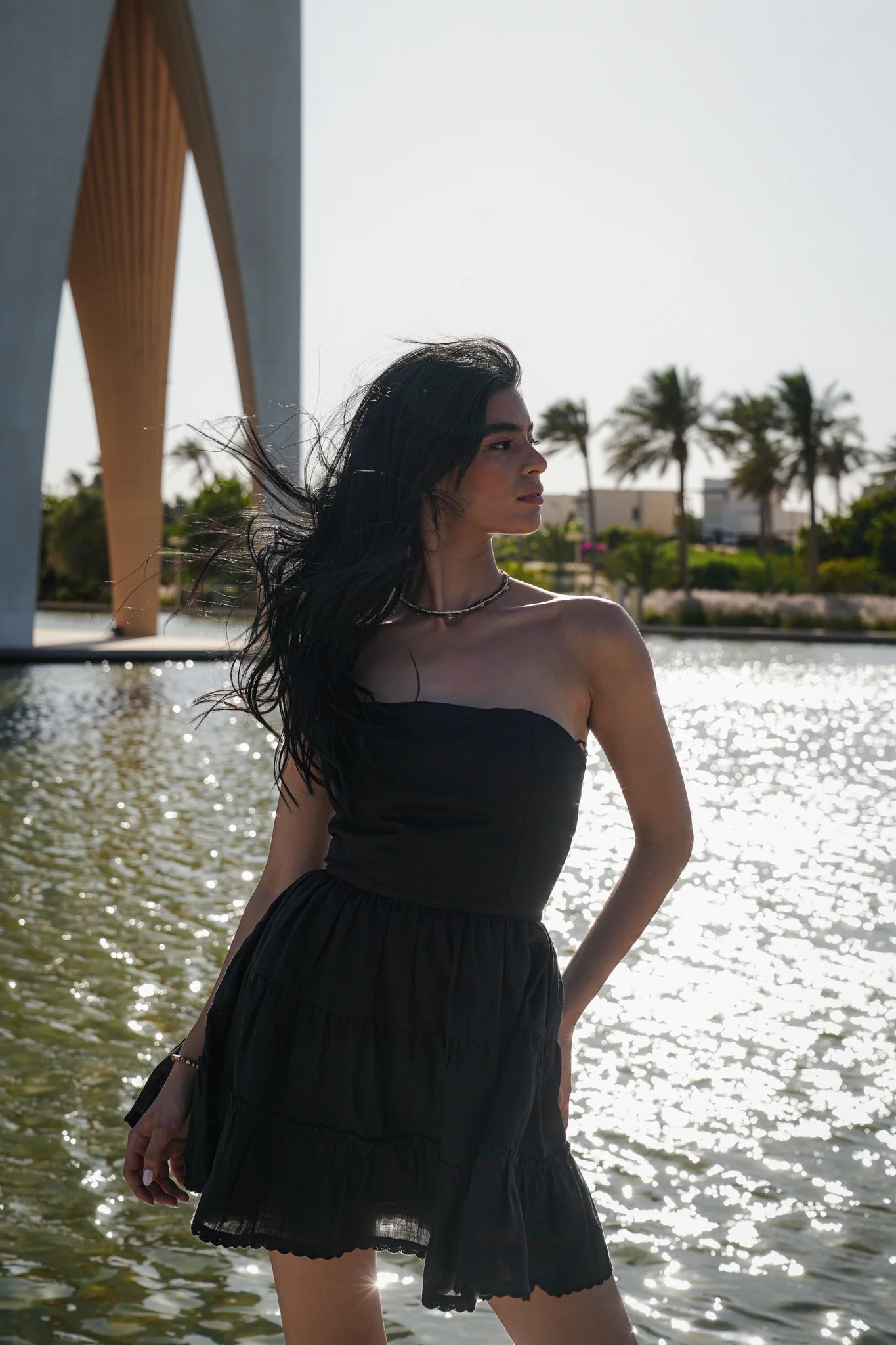 Darine Black Dress